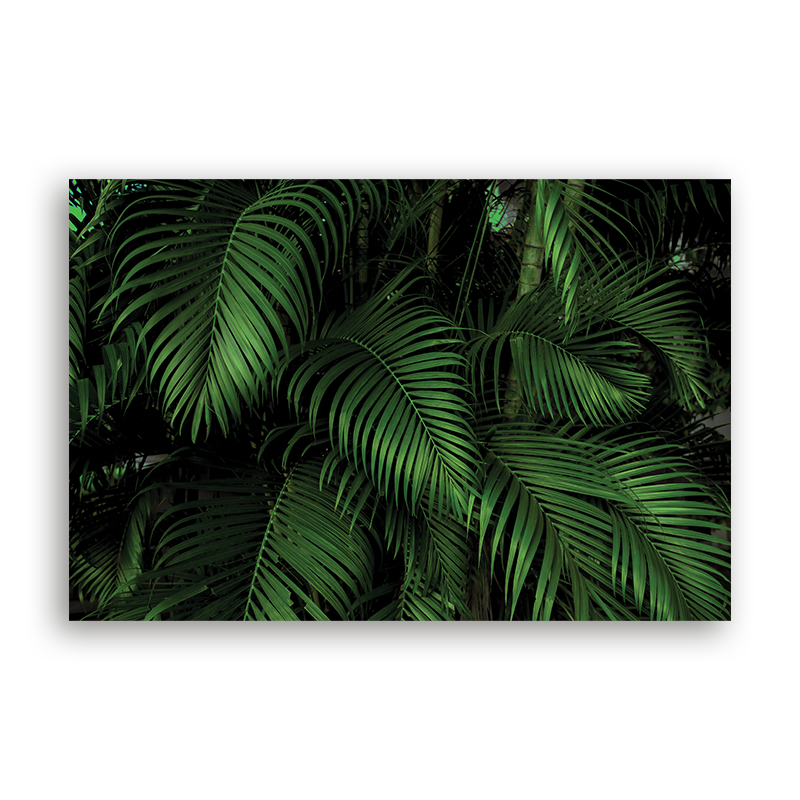 Palm Leaves Backdrop-Product Photography Backdrop - Prop Shop by LABLMAKR